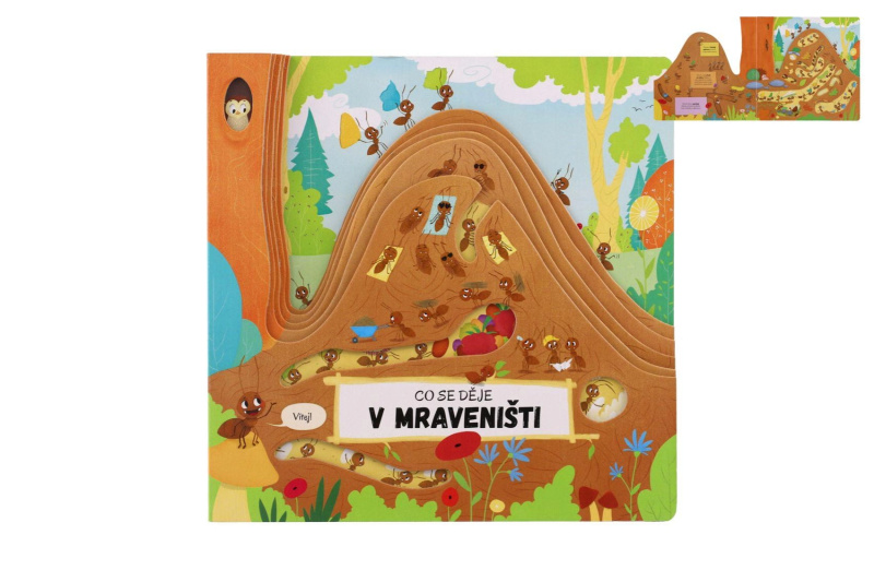 Co se děje v mraveništi - Petra Bartíková