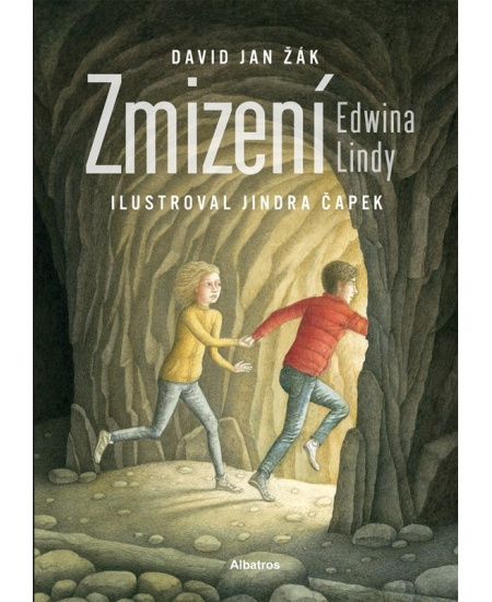 Zmizení Edwina Lindy - David Jan Žák