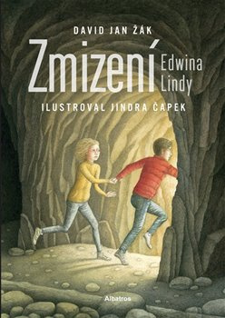 Zmizení Edwina Lindy - David Jan Žák