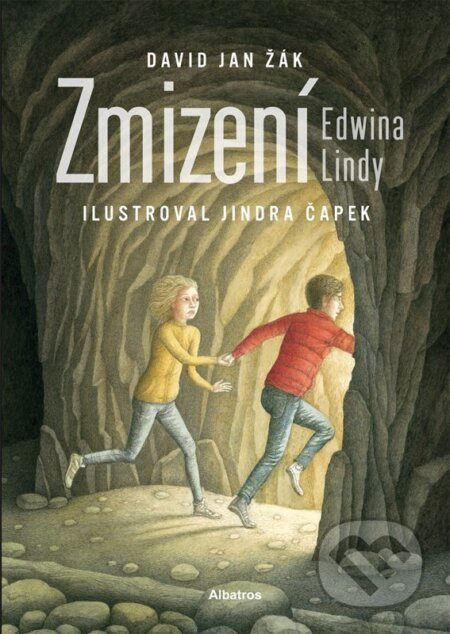Zmizení Edwina Lindy - David Jan Žák