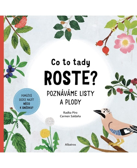Co to tady roste? - Radka Píro