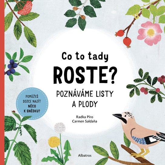 Co to tady roste? - Radka Píro