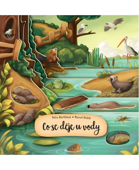 Co se děje u vody