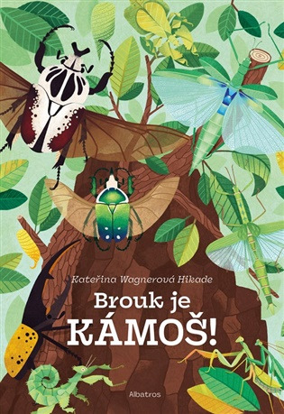 Brouk je kámoš -  Kateřina Hikadová Wagnerová Hikade