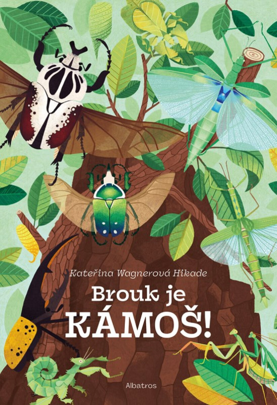 Brouk je kámoš -  Kateřina Hikadová Wagnerová Hikade