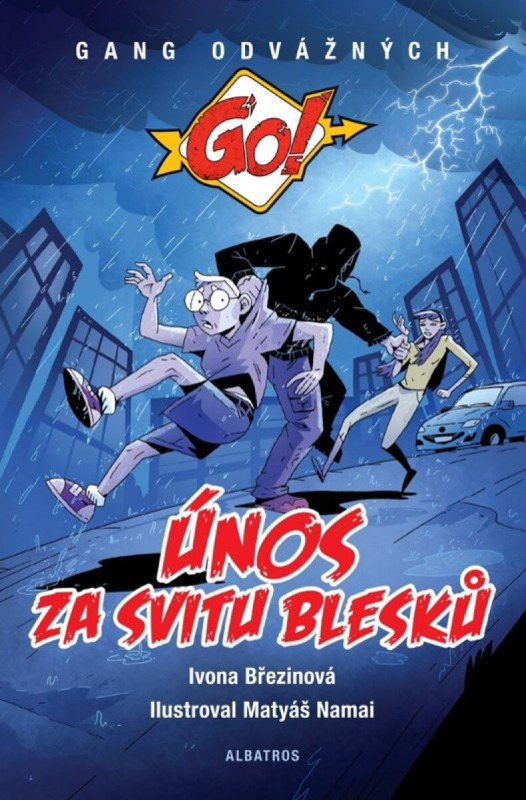 Únos za svitu blesků -  Ivona Březinová