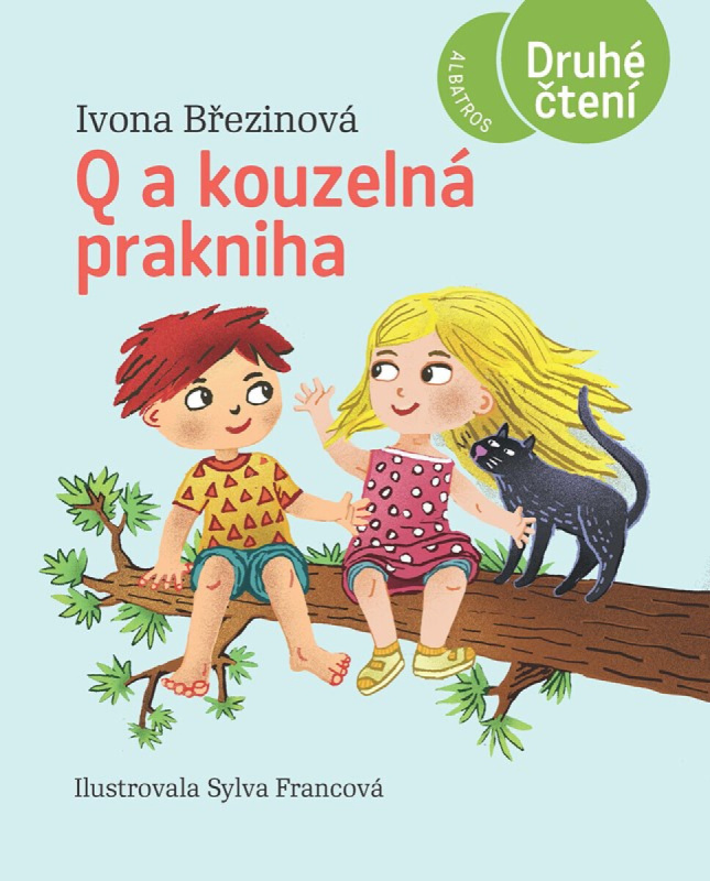 Q a kouzelná prakniha -  Ivona Březinová