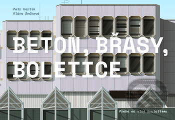 Beton, Břasy, Boletice - Petr Vorlík, Klára Brůhová - kniha z kategorie Architektura