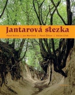 Jantarová stezka - Pavel Bolina, Václav Cílek, Jan Martínek, Pavel Šlézar - kniha z kategorie Historie