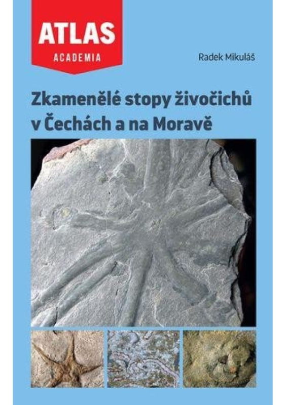 Zkamenělé stopy živočichů v Čechách a na Moravě - Radek Mikuláš