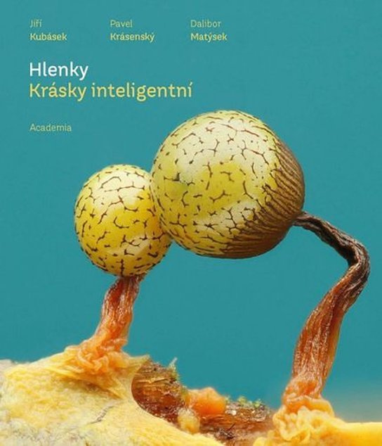 Hlenky - Pavel Krásenský