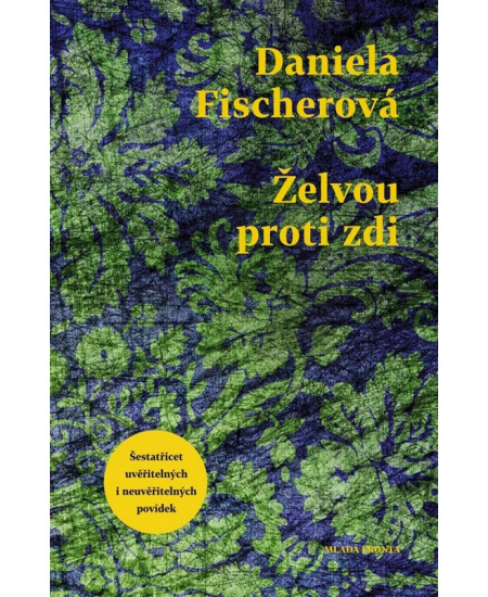 Želvou proti zdi - Daniela Fischerová