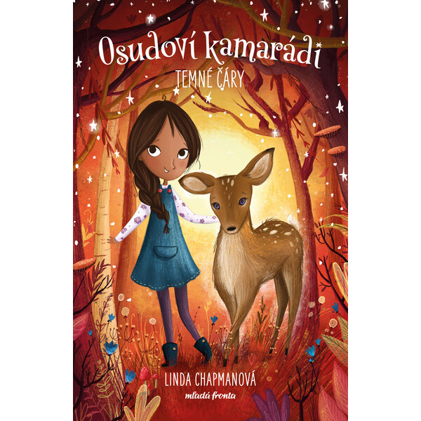 Osudoví kamarádi - Temné čáry - Linda Chapmanová