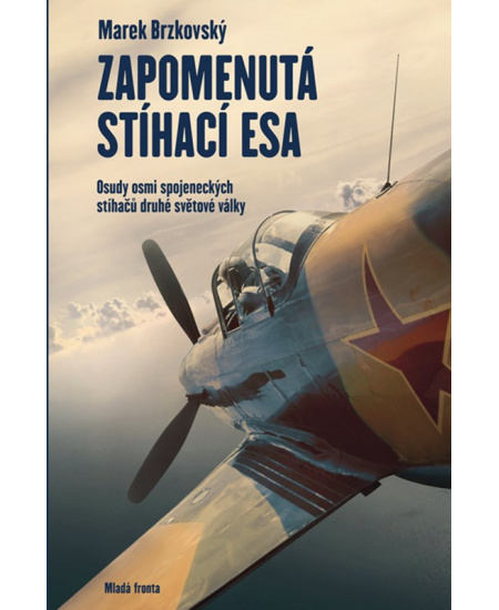 Zapomenutá stíhací esa - Marek Brzkovský