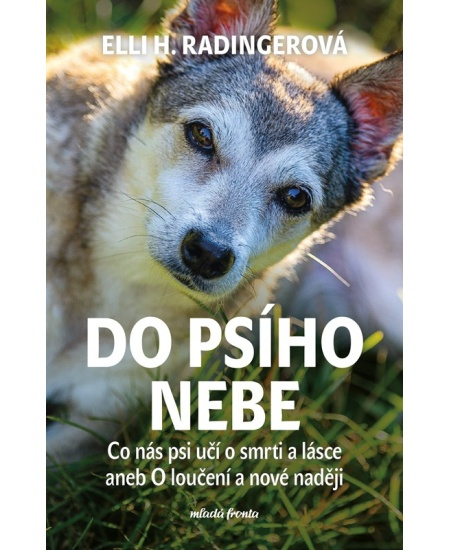 Do psího nebe - Elli H. Radingerová