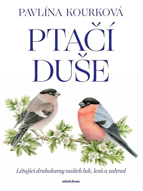 Ptačí duše Mladá fronta