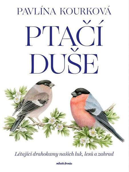 Ptačí duše Mladá fronta