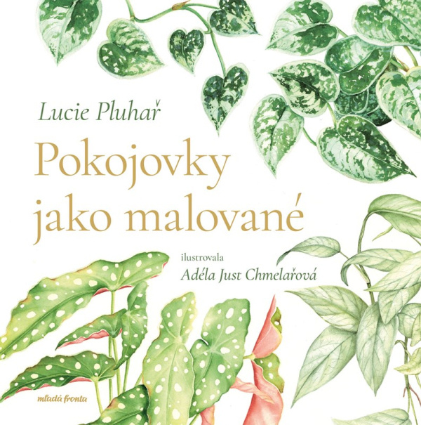 Pokojovky jako malované -  Lucie  Pluhař