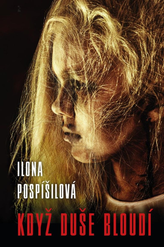 Když duše bloudí - Ilona Pospíšilová