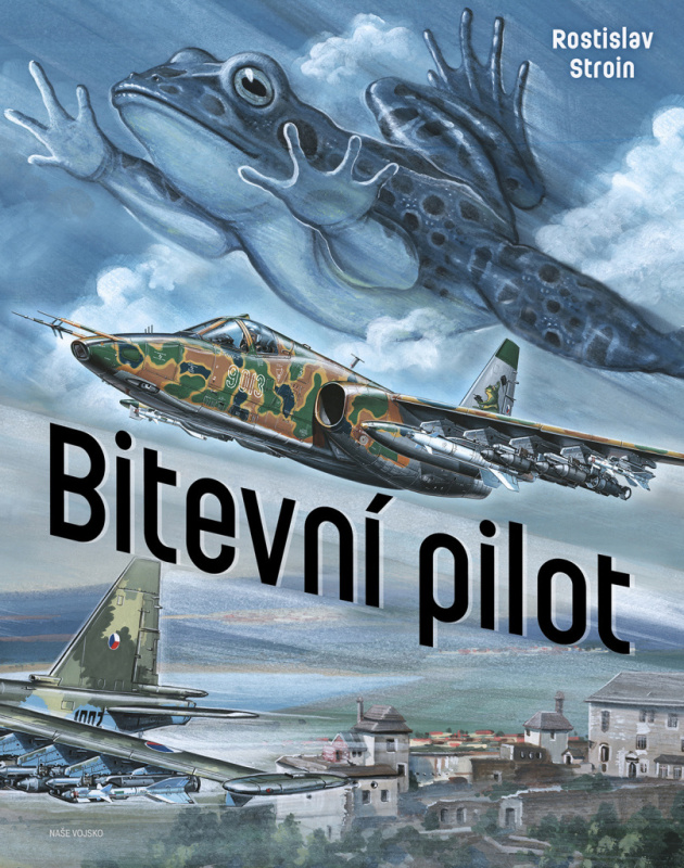Bitevní pilot - Rostislav Stroin