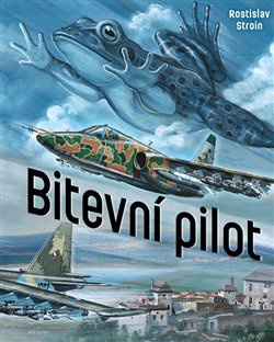 Bitevní pilot - Rostislav Stroin