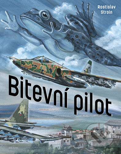 Bitevní pilot - Rostislav Stroin