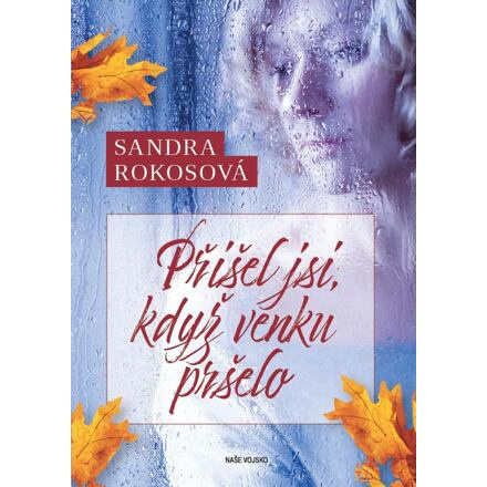 Přišel jsi, když venku pršelo - Sandra Rokosová