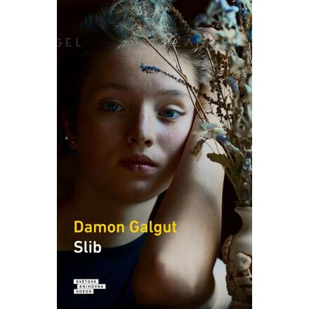 Slib