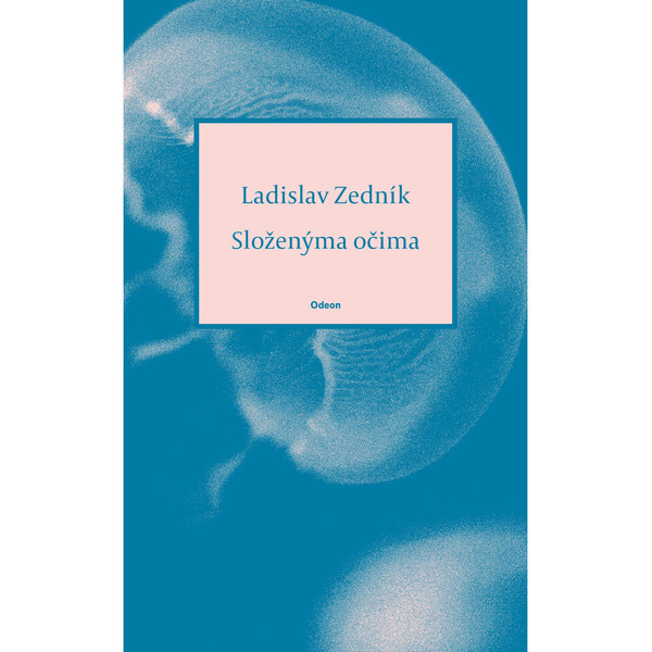 Složenýma očima