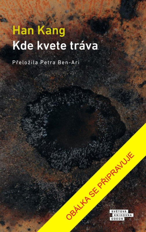 Kde kvete tráva - Han Kang - kniha z kategorie Společenská beletrie