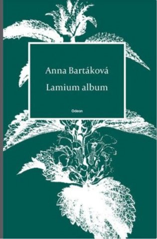 Lamium album