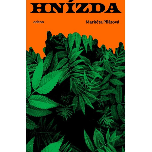 Hnízda