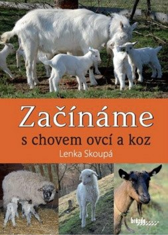 Začínáme s chovem ovcí a koz