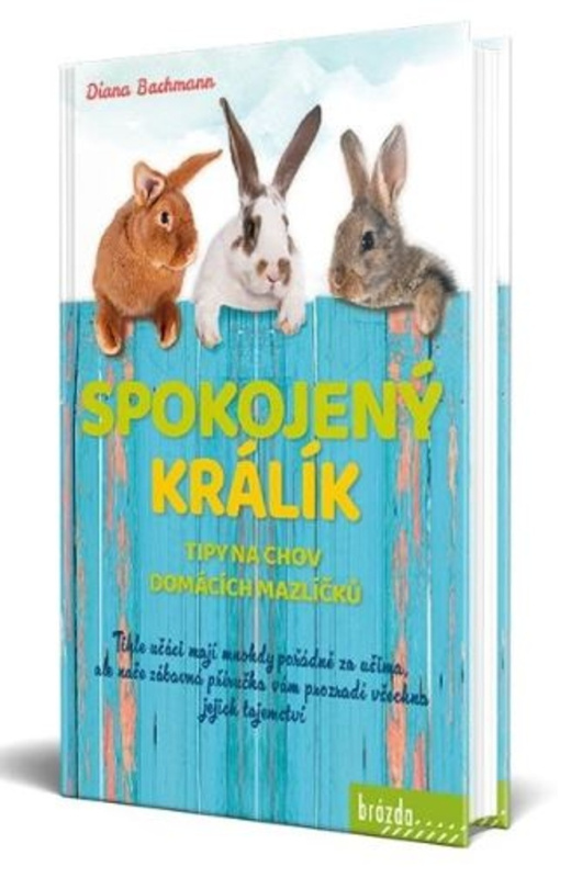 Spokojený králík- Tipy na chov domácích mazlíčků