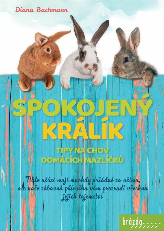 Spokojený králík- Tipy na chov domácích mazlíčků