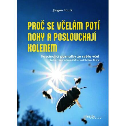 Proč se včelám potí nohy a poslouchají kolenem