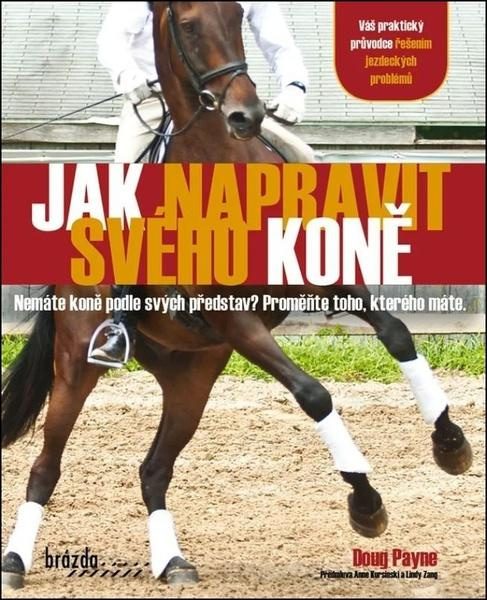 Jak napravit svého koně