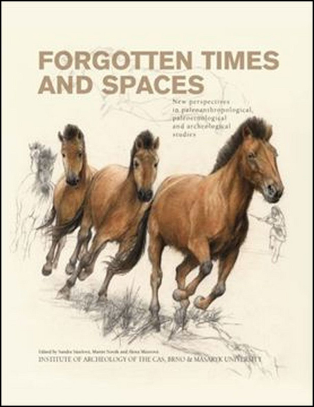 Forgotten Times and Spaces (New perspectives in paleoanthropological, paleoetnological and  archeological studies) - kniha z kategorie Odborné a…