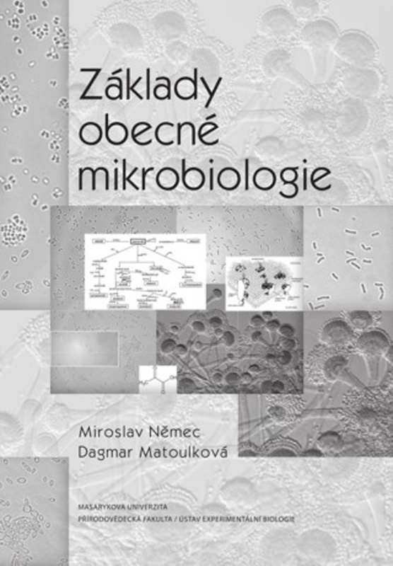 Základy obecné mikrobiologie - Miroslav Němec, Dagmar Matoulková - kniha z kategorie Mikrobiologie, genetika a biochemie