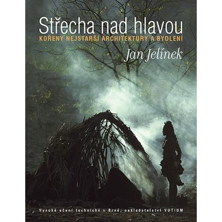 Střecha nad hlavou