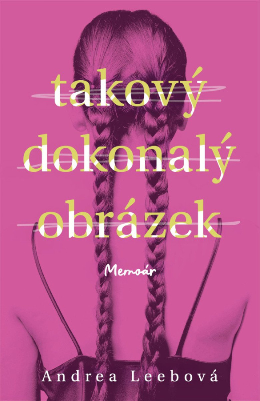 Takový dokonalý obrázek - Andrea Leeb