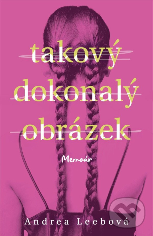 Takový dokonalý obrázek - Andrea Leeb