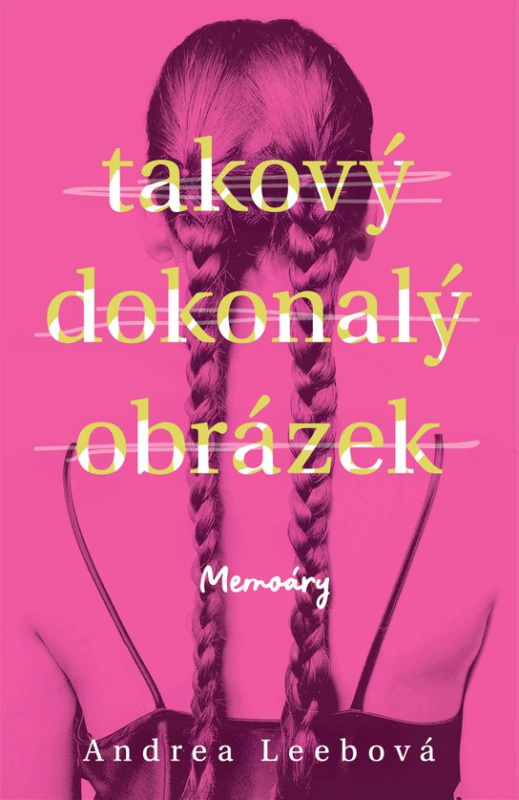 Takový dokonalý obrázek -  Andrea Leeb