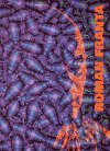 Obrazy / Paintings 1996-1999 - Roman Franta