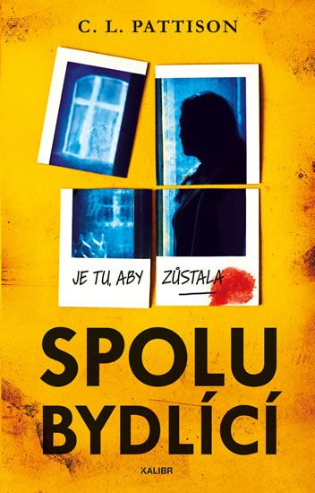 Spolubydlící Euromedia Group, a.s.