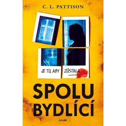 Spolubydlící Euromedia Group, a.s.