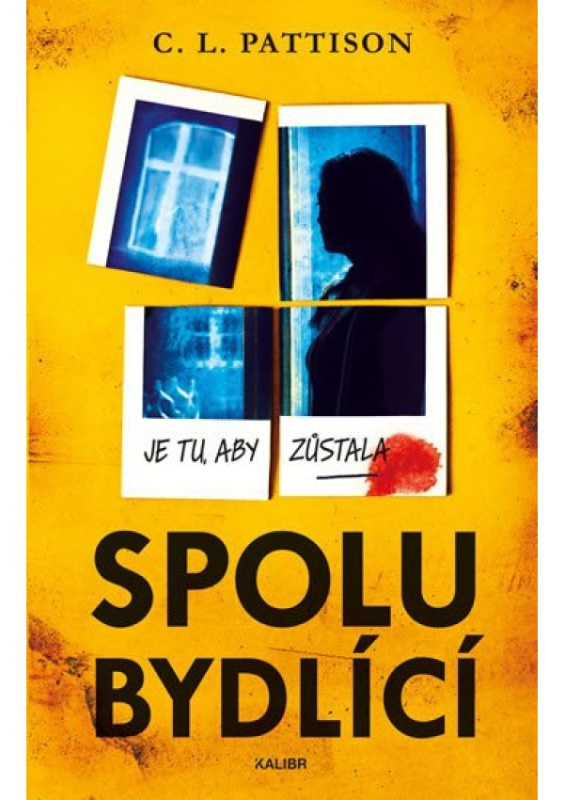 Spolubydlící Euromedia Group, a.s.