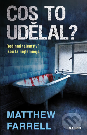 Cos to udělal? (Rodinná tajemství jsou ta nejtemnejší) - kniha z kategorie Thrillery
