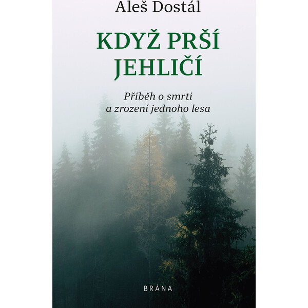 Když prší jehličí - Aleš Dostál
