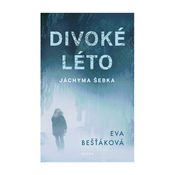 Divoké léto Jáchyma Šebka - Eva Bešťáková
